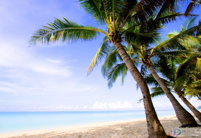 beach是什么意思(beach是什么意思中文翻译)