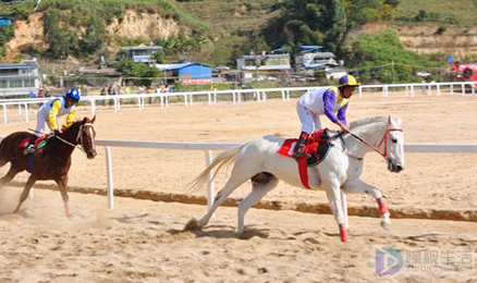 群马疾驰的意思简单