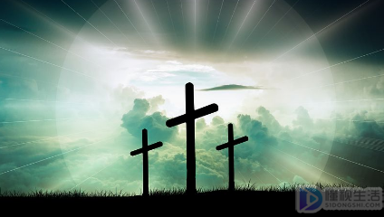 唐三一共娶了几个老婆