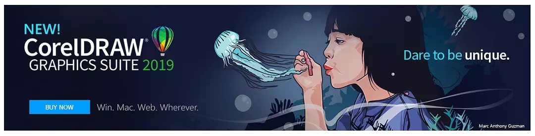 cdr和ai的区别(钢丝绳破断拉力和破断拉力总和有什么区别)