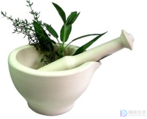 猫爪草的功效与作用(猫爪草图片)