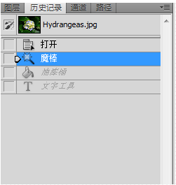 ps cs5.1教程(adobe photoshop cs5教程)