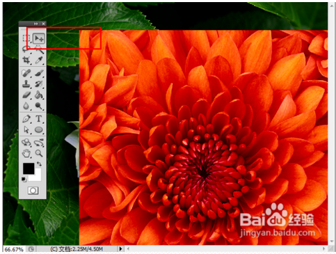 ps cs5.1教程(adobe photoshop cs5教程)