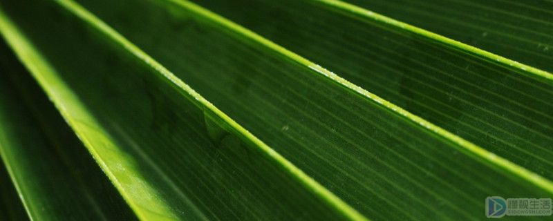被子植物的完全叶是由哪三部分组成(被子植物是什么)
