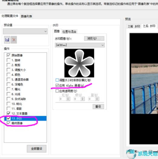 acdsee给照片添加文字(acdsee怎样批量添加照片时间水印)