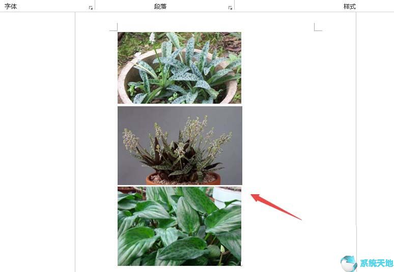 word批量设置图片大小一致(word文档中的图片怎么批量设置居中)