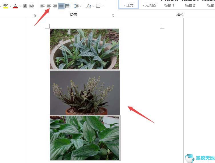 word批量设置图片大小一致(word文档中的图片怎么批量设置居中)
