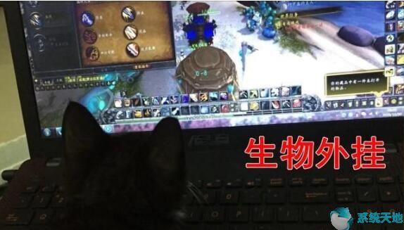 魔兽世界怀旧服如何才能不掉线呢(魔兽世界怀旧服怎么能不掉线)