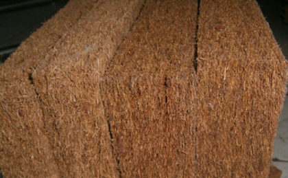 棕垫生虫子是什么虫子