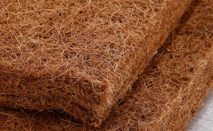 棕垫生虫子是什么虫子