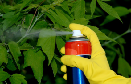 房间喷杀虫剂后衣物可以穿吗喷了杀虫剂要闷多久(房间喷杀虫剂衣服还能穿吗)