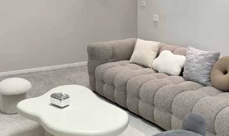 布艺沙发可以用洗衣机洗吗布艺沙发可以喷酒精消毒吗(布艺沙发能用酒精洗吗)