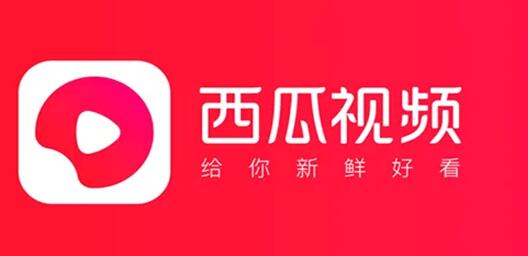 天天想你免费看西瓜视频