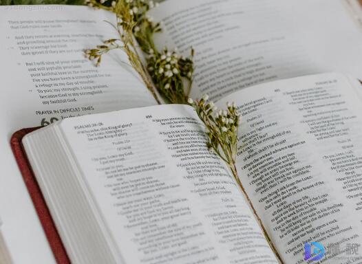 经典的装载机租赁合同模板(装载机租赁合同范本文库)