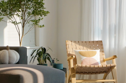 白色内墙漆和乳胶漆的区别