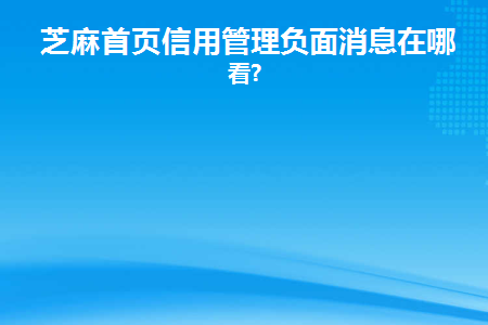 芝麻信用-生活记录