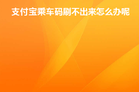 支付宝乘车码刷不了怎么办