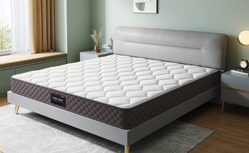 椰棕的床垫子会生虫子吗?