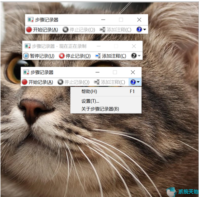win10记录点(记录windows操作记录)
