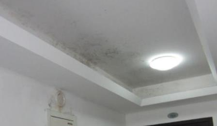 84消毒水怎么去除墙上的霉渍