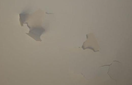 房顶掉皮自己怎么处理为什么房顶会掉皮(房顶掉皮怎么办)