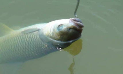 十几米深的水库钓鱼