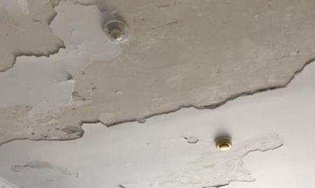 房顶掉皮怎么办