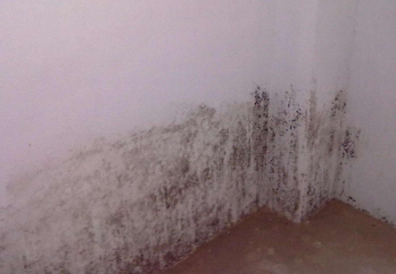 84消毒水怎么去除墙上的霉渍