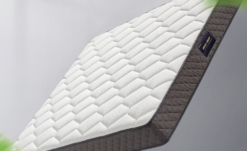 椰棕的床垫子会生虫子吗?