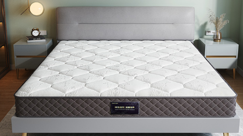 椰棕床垫会长虫子吗椰棕床垫会生什么样的虫子(椰棕的床垫子会生虫子吗?)