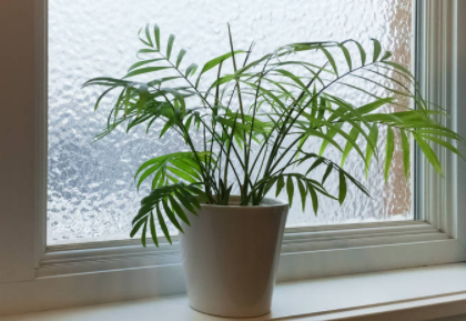 冬天窗户怎么密封