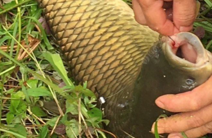 十几米深的水库钓鱼