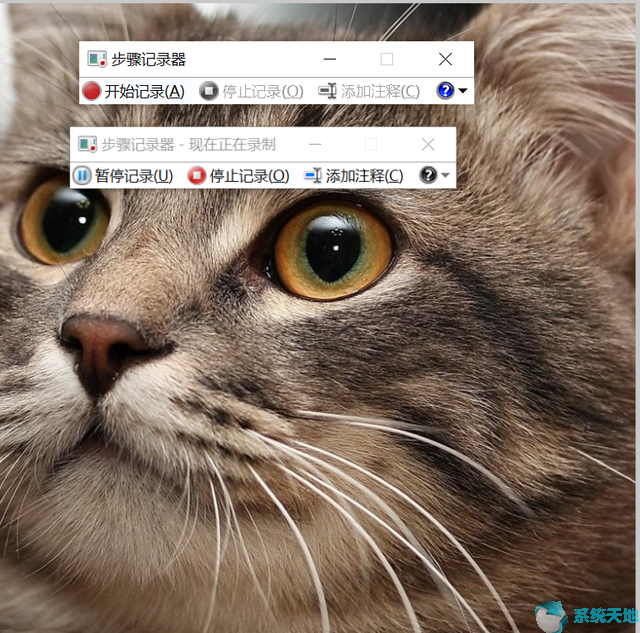 win10记录点(记录windows操作记录)