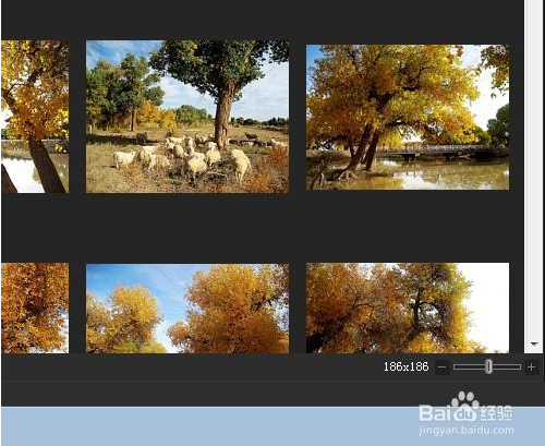 acdsee怎么缩小图片(acd不显示缩略图)