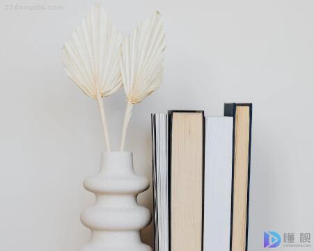 简单的商铺店铺租赁合同模板(最新商铺店面租赁合同)