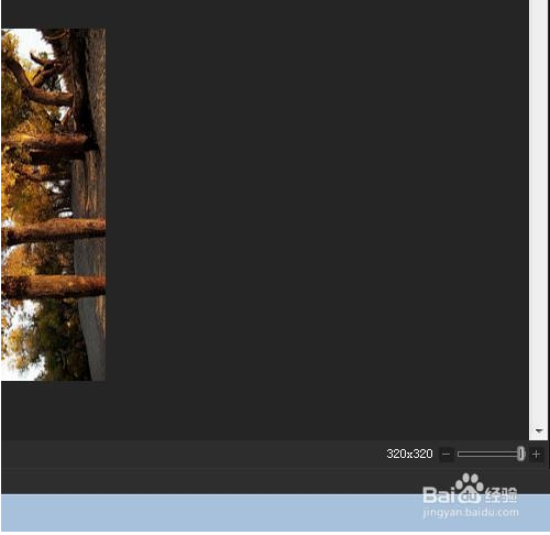 acdsee怎么缩小图片(acd不显示缩略图)