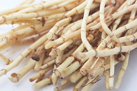 鱼腥草小孩可以当水喝吗