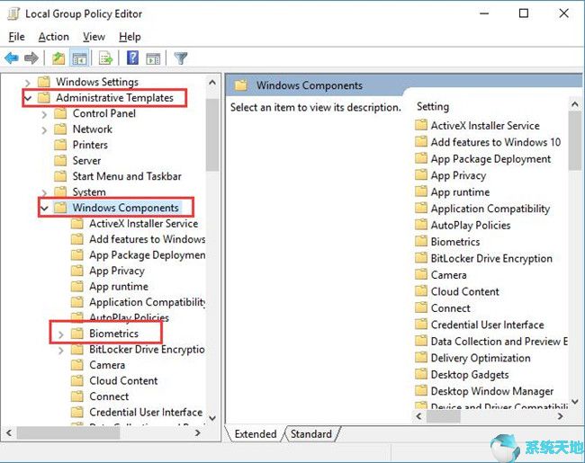 什么是音节(什么是疯马秀)