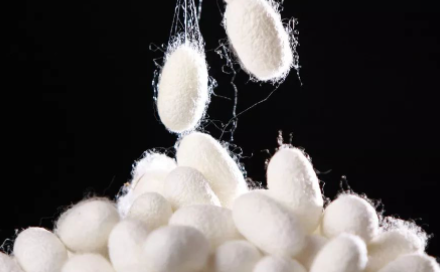 桑蚕丝漂黄了怎么办桑蚕丝漂白变黄用醋泡行不行(桑蚕丝衣服漂白水漂黄补救)