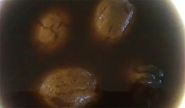 青皮核桃泡酒的颜色怎么是黑色的青核桃泡酒是什么颜色(核桃青皮泡酒的功效与作用)