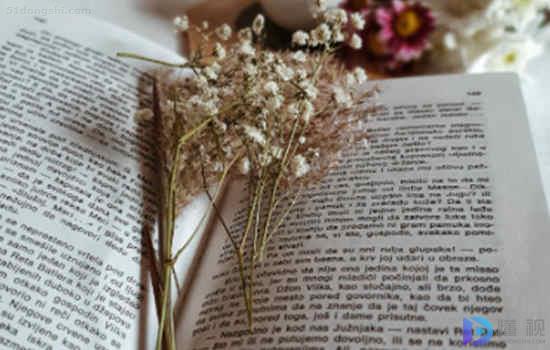 商铺门面租赁合同范本2023(商铺门面租赁合同标准版)