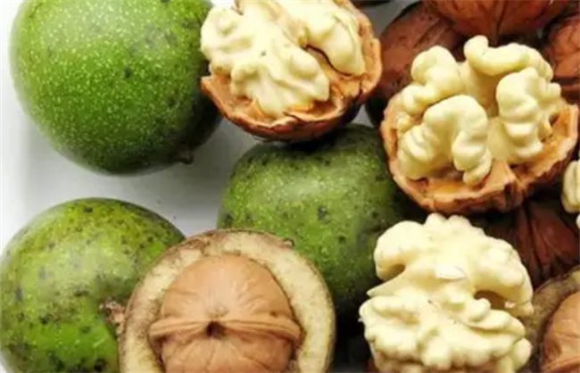 核桃青皮泡酒的功效与作用