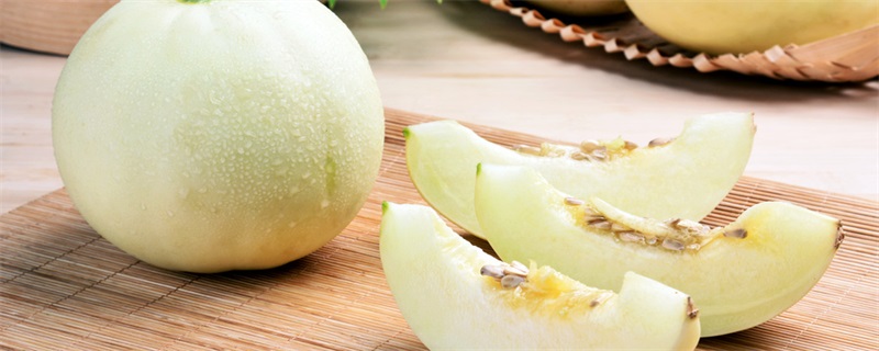 白兰瓜是水果还是蔬菜白兰瓜别名(白兰瓜是水果还是蔬菜类)