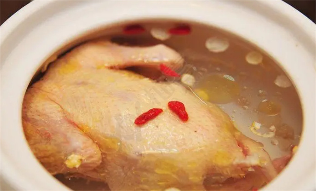 孕妇喝鸽子汤好不好