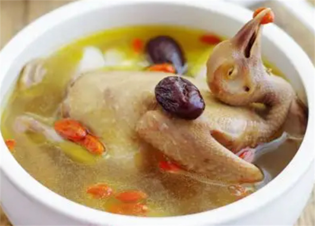 怀孕喝鸽子汤对身体好吗怀孕喝鸽子汤有什么好处(孕妇喝鸽子汤好不好)