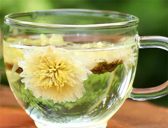 菊花茶哪些人一定不能喝菊花茶的禁忌人群(菊花茶哪些人不适合喝)