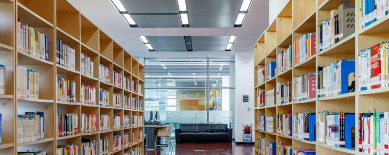 华南财经大学在哪儿广东财经大学在哪儿(华南财经大学真实存在吗)
