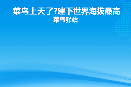 菜鸟往上是什么等级