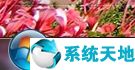 电脑ip地址怎么修改(静态ip地址和动态ip地址的区别)