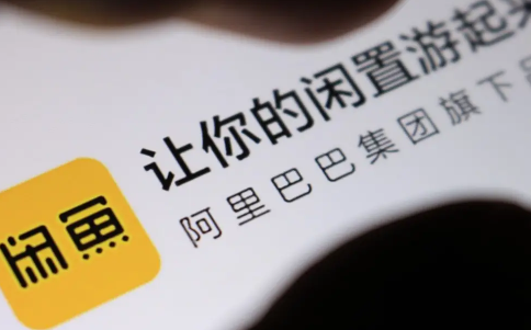 闲鱼小法庭买家必输还能退货吗闲鱼小法庭买家必输影响信用吗(闲鱼小法庭买家败了怎么办)